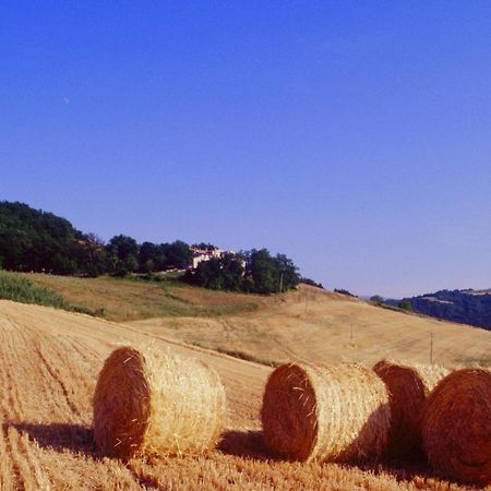 Agriturismo Il Fienile Di Ca Battista カーリ エクステリア 写真