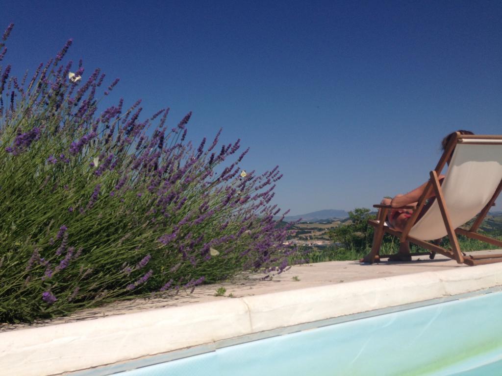 Agriturismo Il Fienile Di Ca Battista カーリ エクステリア 写真