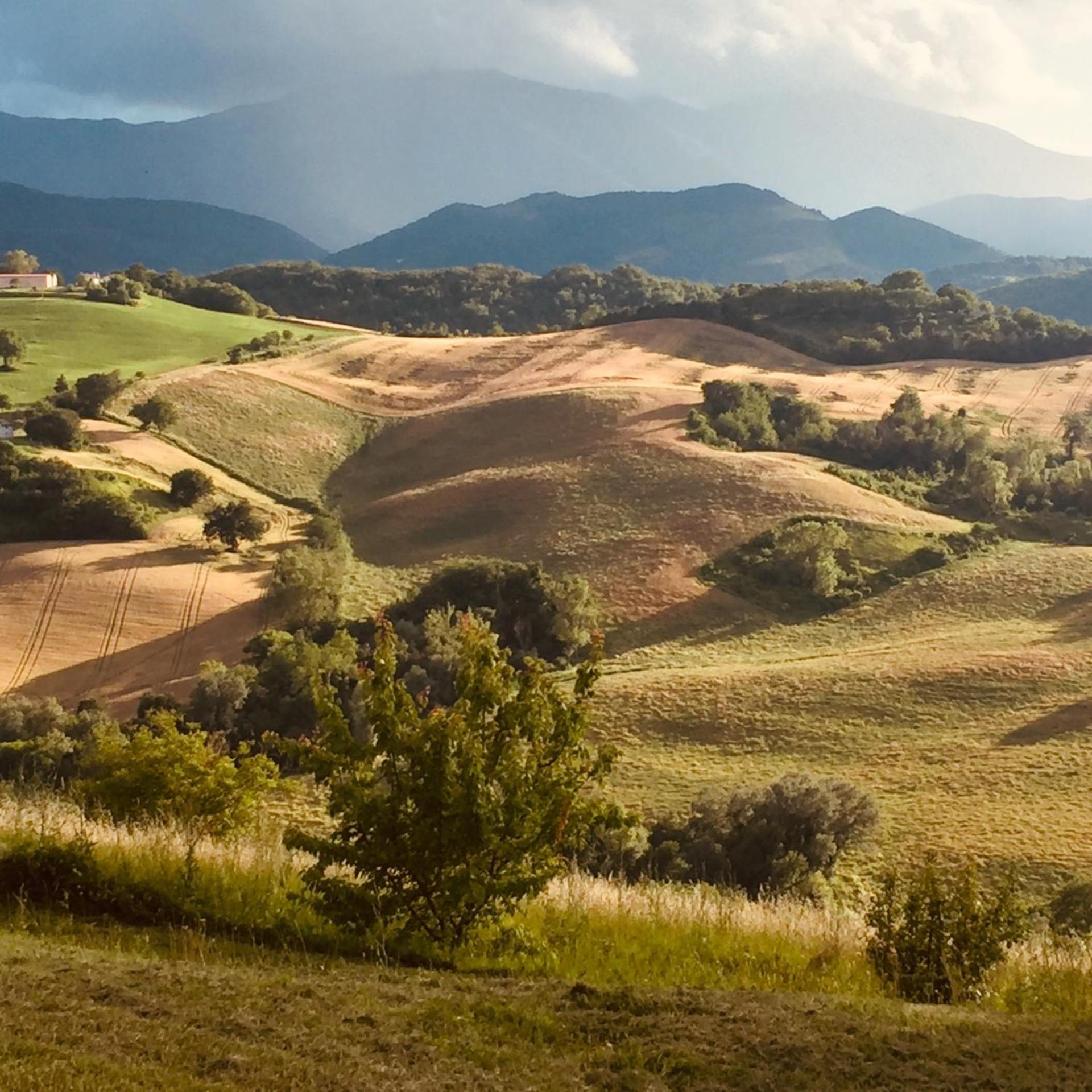 Agriturismo Il Fienile Di Ca Battista カーリ エクステリア 写真