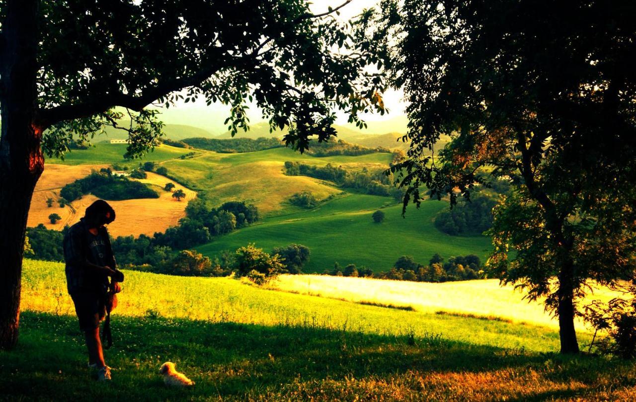 Agriturismo Il Fienile Di Ca Battista カーリ エクステリア 写真