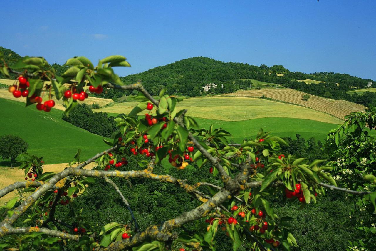 Agriturismo Il Fienile Di Ca Battista カーリ エクステリア 写真