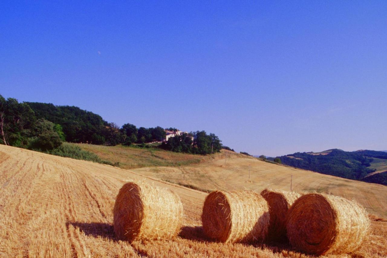 Agriturismo Il Fienile Di Ca Battista カーリ エクステリア 写真